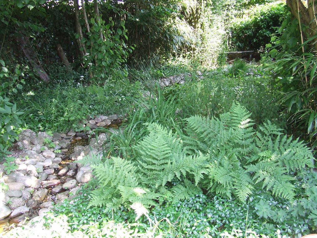 B&B 'T Nije Huus Schoonoord Esterno foto